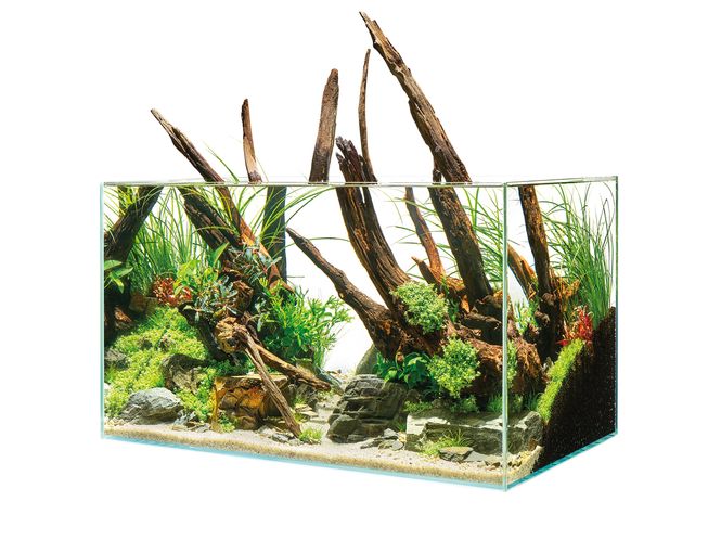 Hovedbilde Oase ScaperLine 90 Akvarium