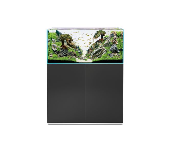 Hovedbilde Oase ScaperLine 100 black set