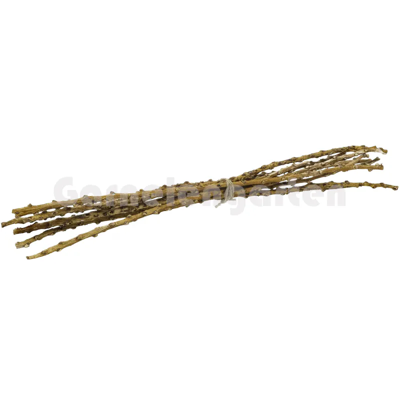 Palmeblomst grener 10pk 