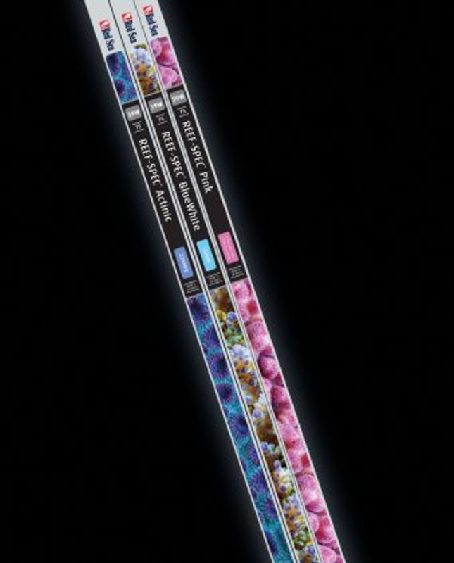Reef Spec PINK 39w T5