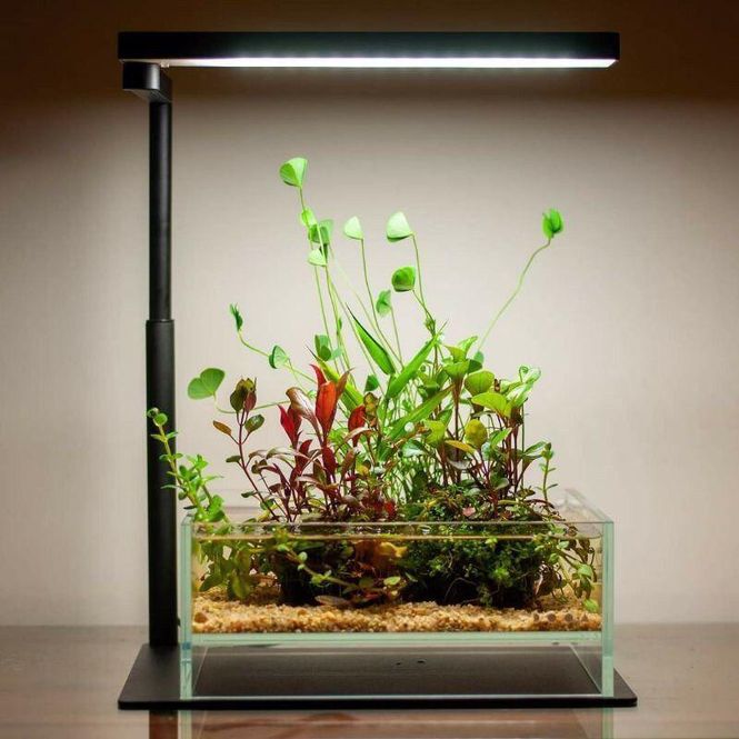 Hovedbilde Chihiros CII Series Desktop LED RGB Light Base Stand