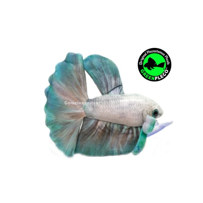 Hovedbilde GreenPleco - Betta Jade Mist Plushie