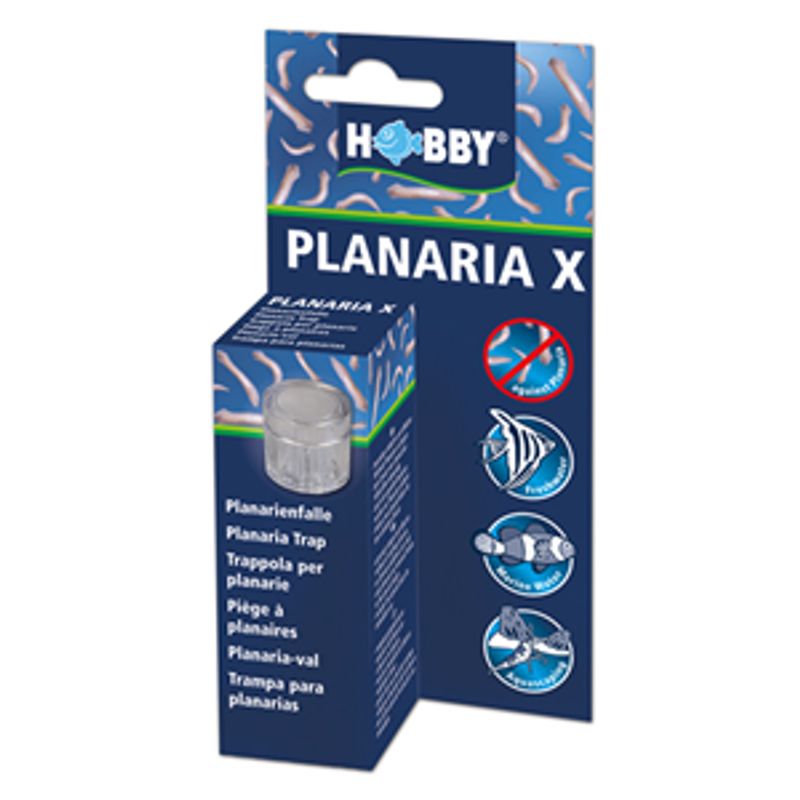 HOBBY PLANARIA X TRAP