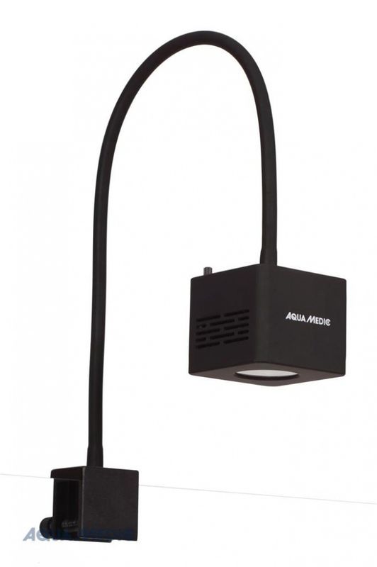 QUBE 50 LED-SPOT