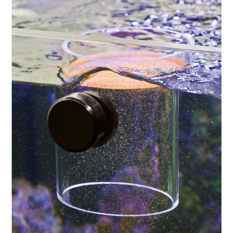 Food pipe