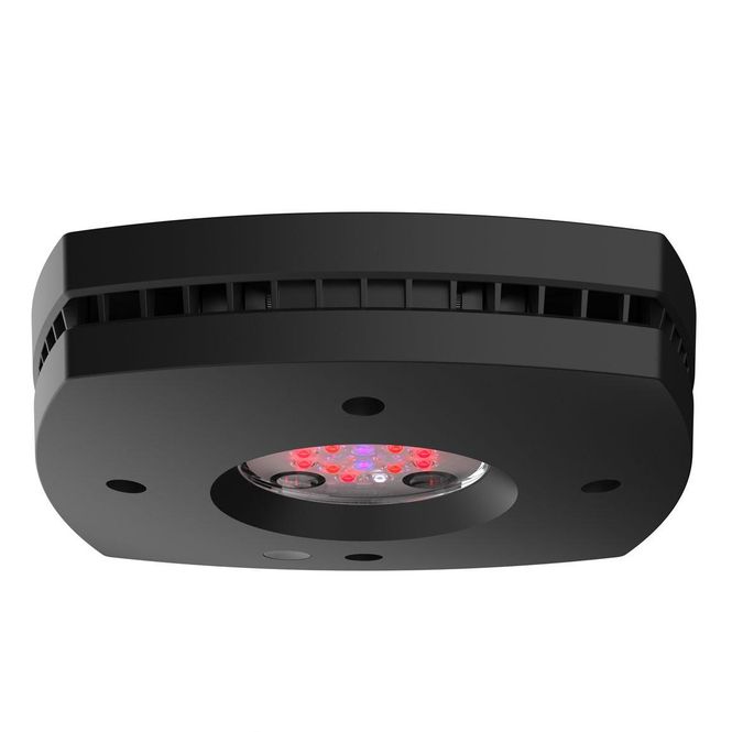 Hovedbilde Aqua Illumination Prime Fuge