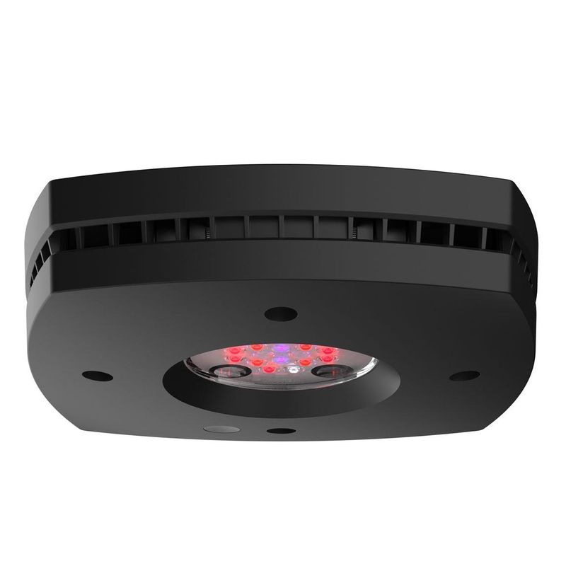 Aqua Illumination Prime Fuge