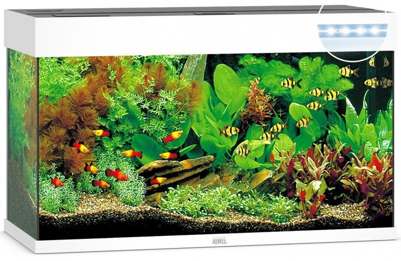 Rio 125 LED Hvit