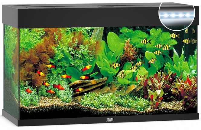 Hovedbilde Rio 125 LED Sort