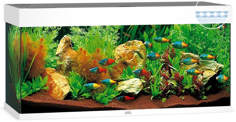 Rio 240 LED Hvit