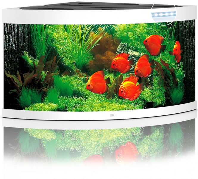 Hovedbilde Trigon 350 LED Hvit