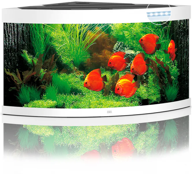 Hovedbilde Trigon 350 LED Hvit