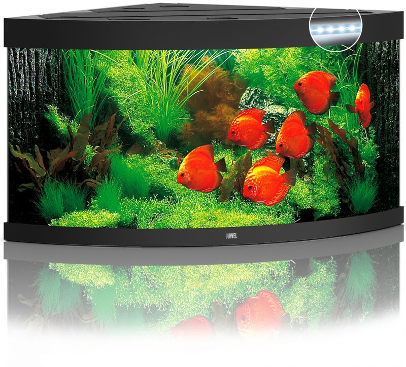 Trigon 350 LED Sort