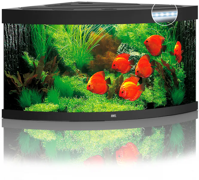 Hovedbilde Trigon 350 LED Sort
