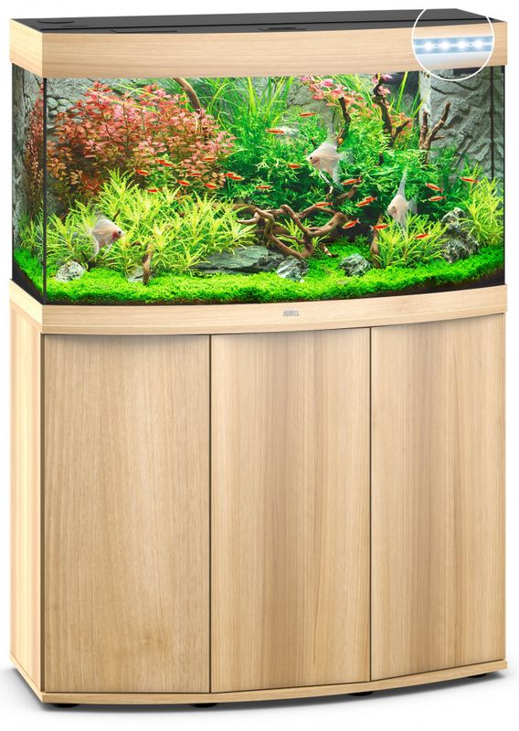 Vision 180 LED Eik