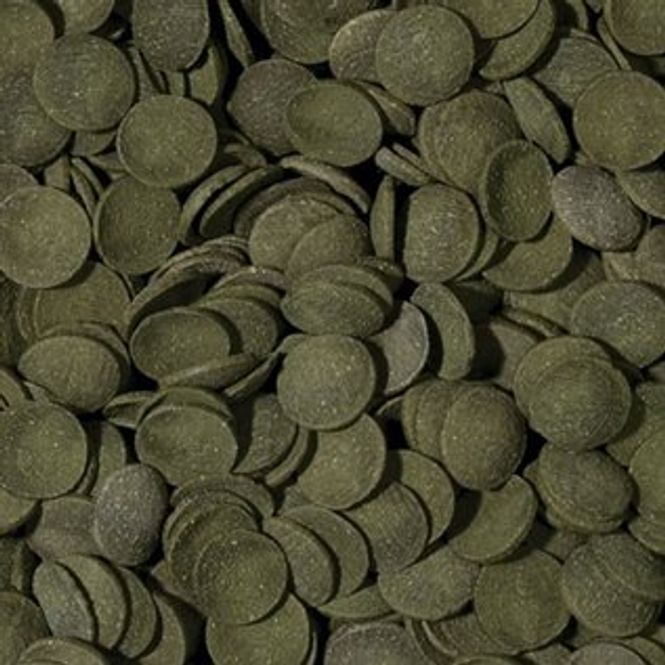 Hovedbilde Spirulina Wafers - 100ml 