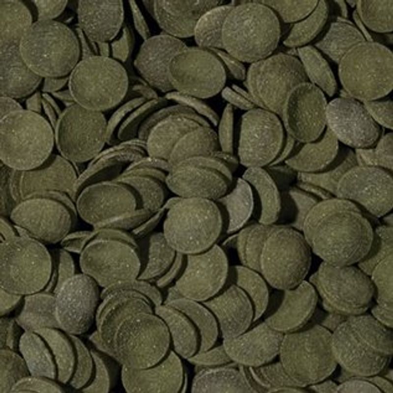 Spirulina Wafers - 100ml 