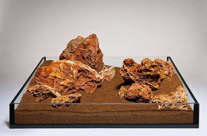 Hovedbilde Maple Leaf Rock 