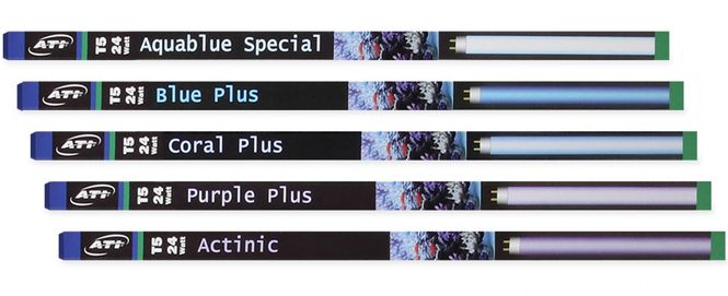 Hovedbilde Purple Plus (24