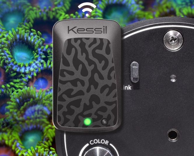 Hovedbilde Kessil Wifi Dongle