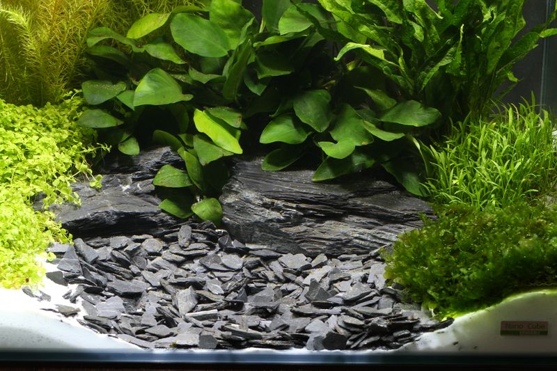 Dennerle  Plantahunter Baikal/ Kongo 3 - 8 mm 5kg 