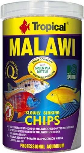 tropical cichlid chips