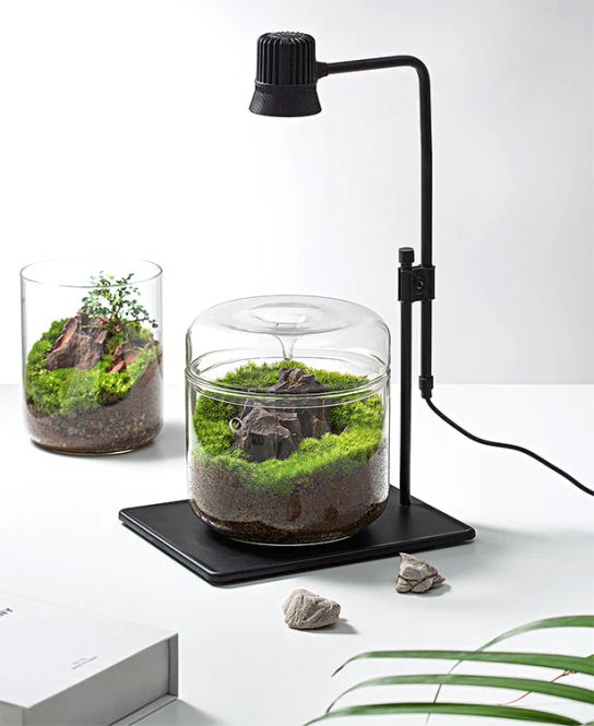 Hovedbilde Wabi-Kusa Lamp DX-05