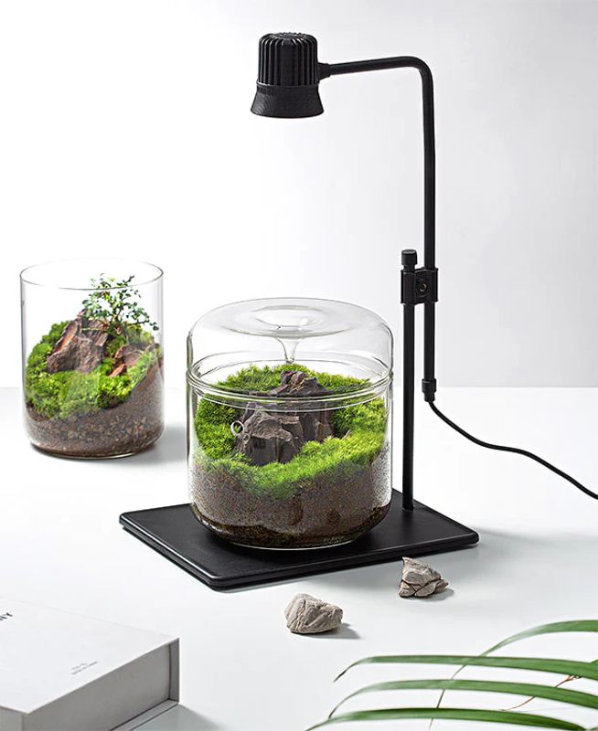 Wabi-Kusa Lamp DX-05