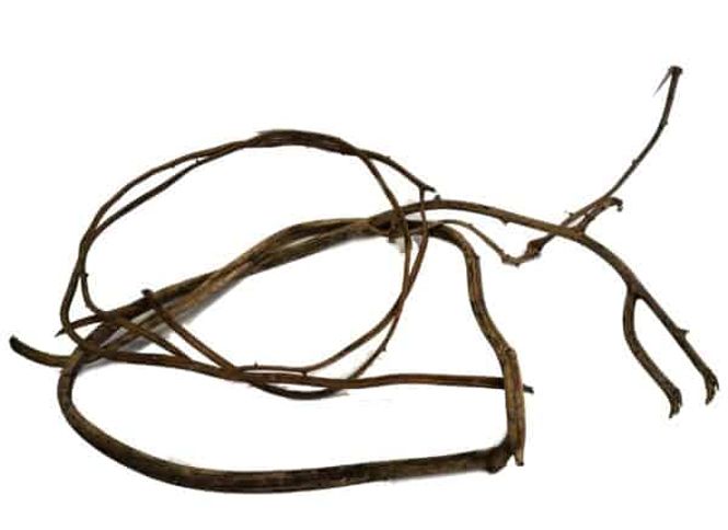 Hovedbilde Liana Amazon Wood