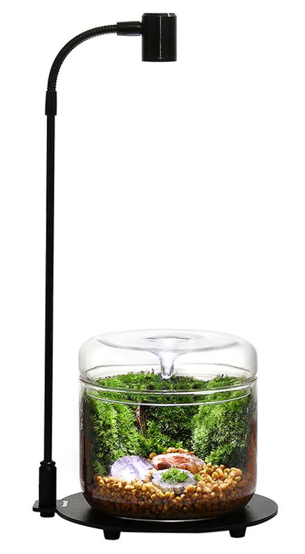 Wabi-Kusa Lamp DX-03