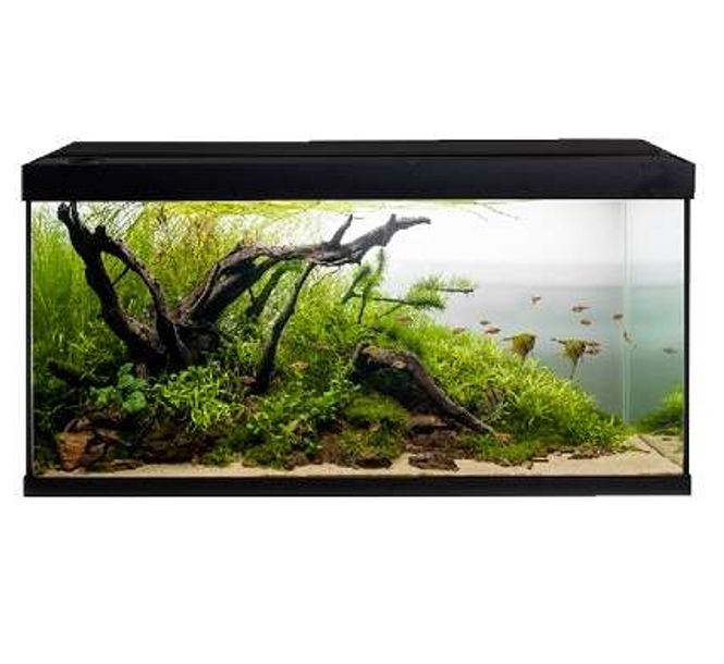 Hovedbilde Akvastabil Element 240L Sort  Inkl Møbel