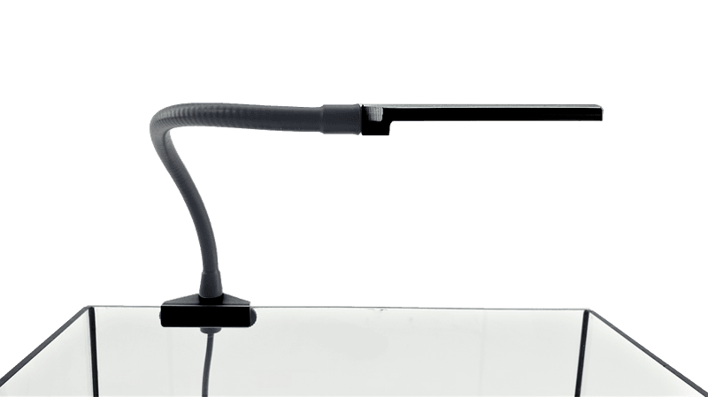 Daytime Cobra SunLike Black