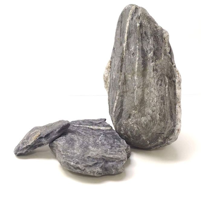 Hovedbilde Wild Rhino stone