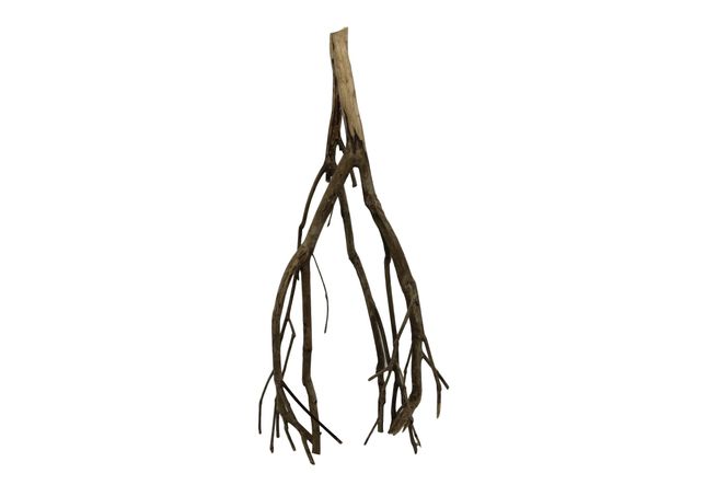 Hovedbilde Talawa wood 45-60cm