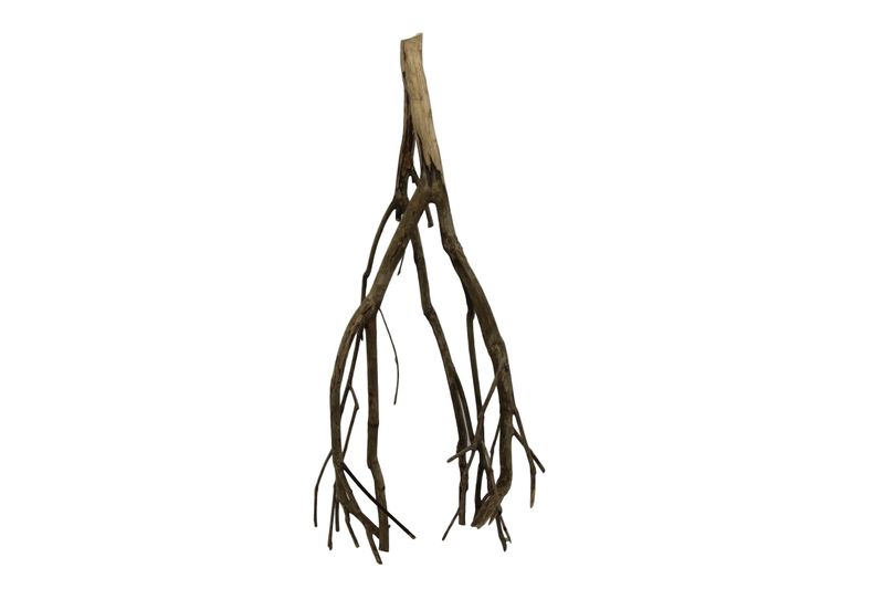 Talawa wood 45-60cm