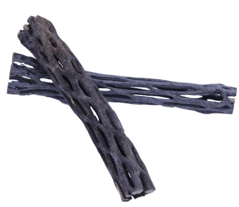 Cholla wood 15cm 