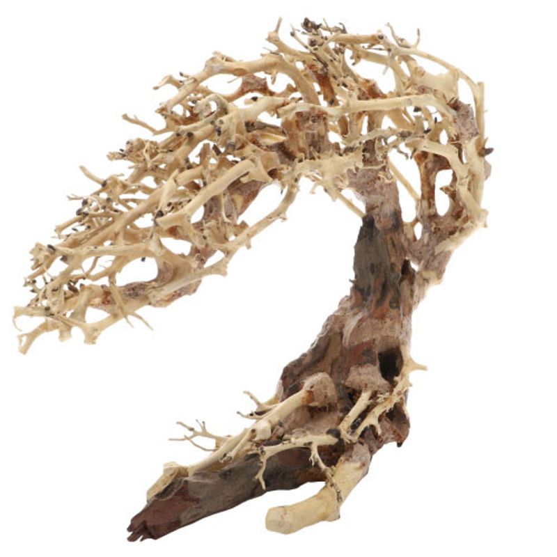 Crooked Root Small 