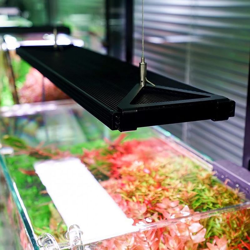 Chihiros WRGB II Pro hanging set