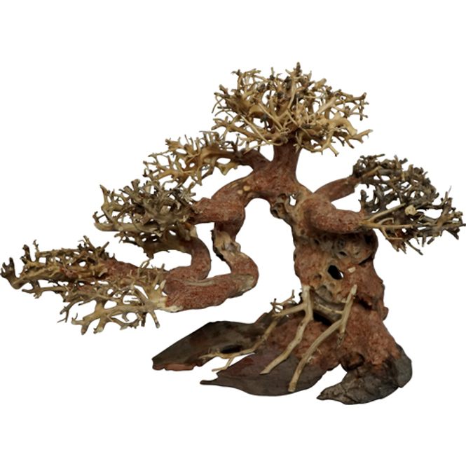 Hovedbilde Bonsai Tree XXLarge