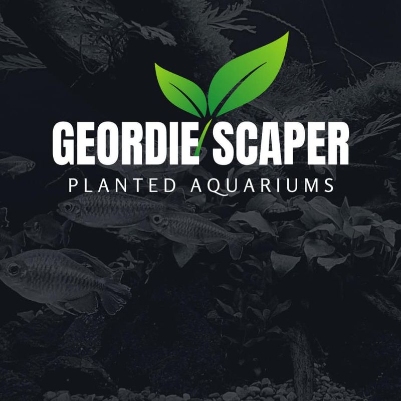Workshop Geordie Scaper  Torsdag 23 Februar 2023