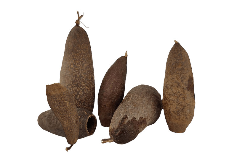 Jecetiba capsule