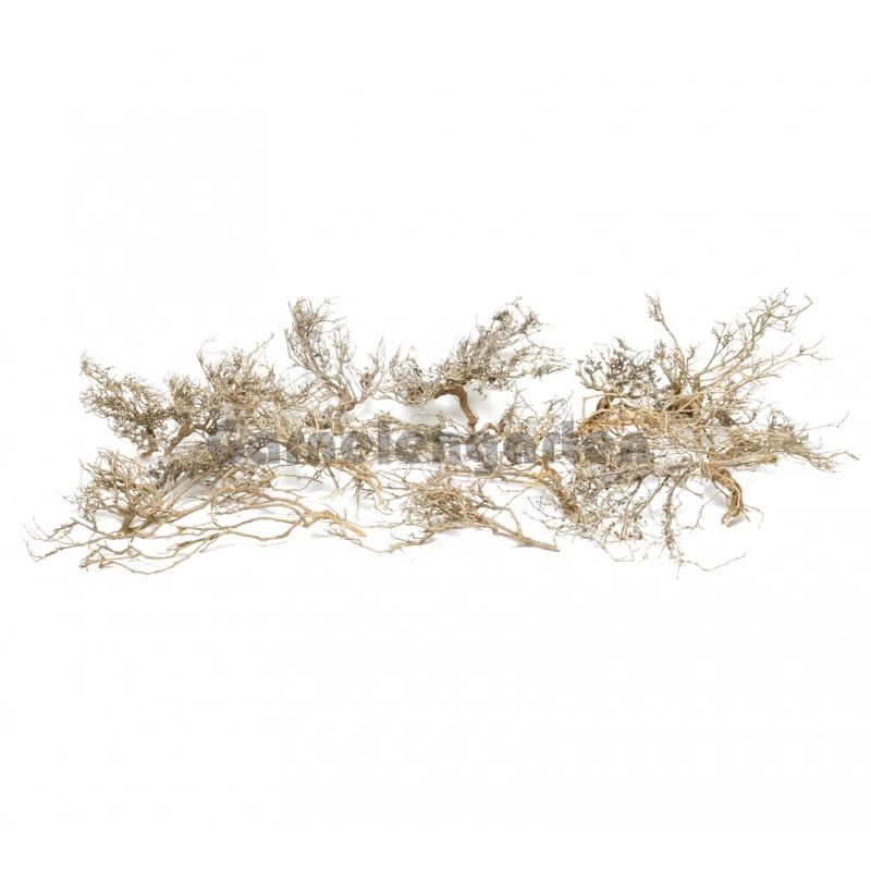 Reke Tre ØrkenBusk  Natural small/medium