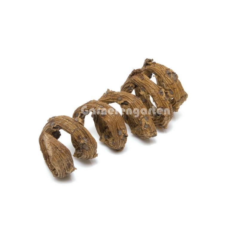 Palm blossom curls 1pk