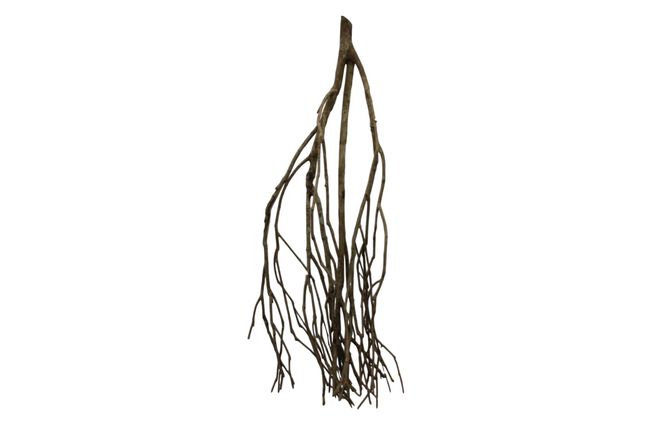 Hovedbilde Talawa wood 45-60cm