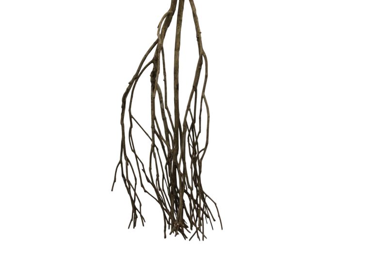 Talawa wood 45-60cm