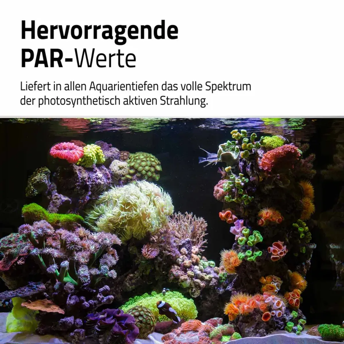 Fluval Reef Led 4.0 46w 88,2-125,8cm