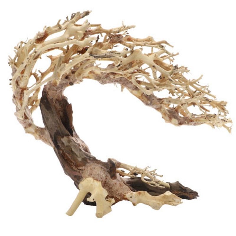 Crooked Root Small 