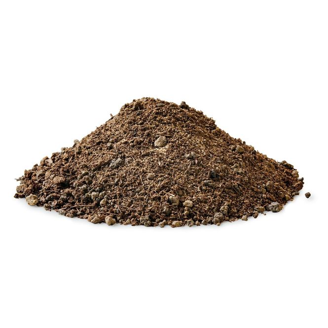 Hovedbilde Oase BaseSoil 10liter